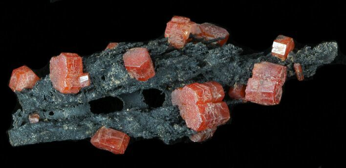 Red Vanadinite Crystals on Manganese Oxide - Morocco #38513
